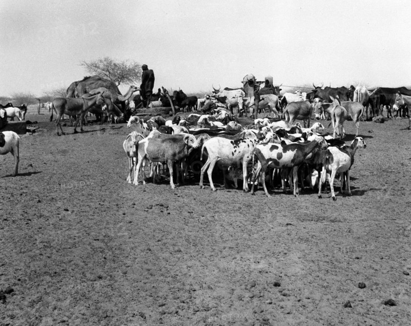 Puits entre Agadès et Tanout, au Niger