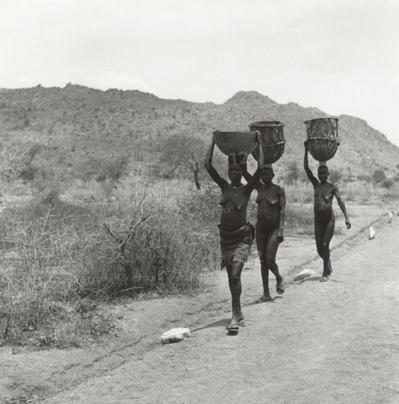 Porteuses d'eau près de Mora, dans le nord du Cameroun