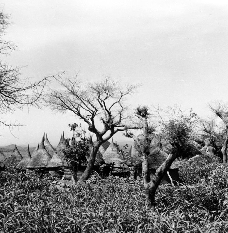 Village du pays Matakam, dans le nord du Cameroun