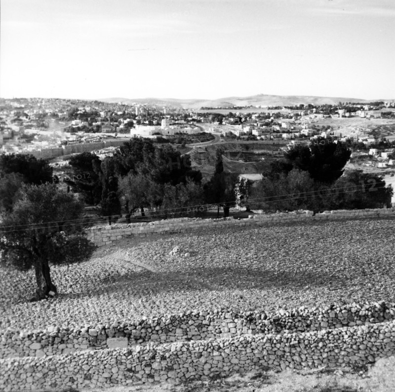 Mont des Oliviers à Jérusalem, en Palestine