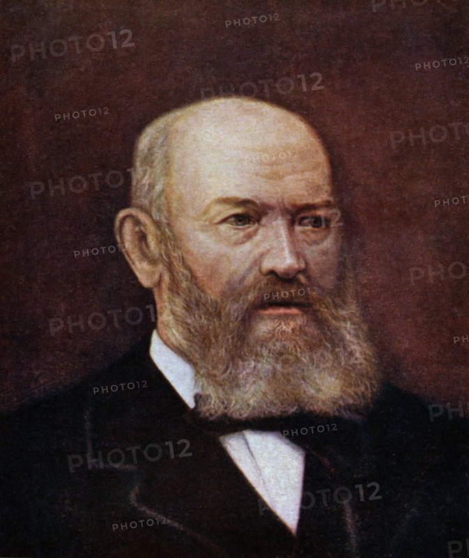 Sadovsky, Portrait of Russian writer Aleksandr Ostrovski
(1823-1886)