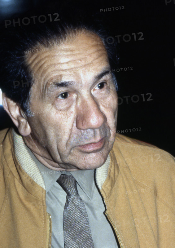 Alexandre Sanguinetti