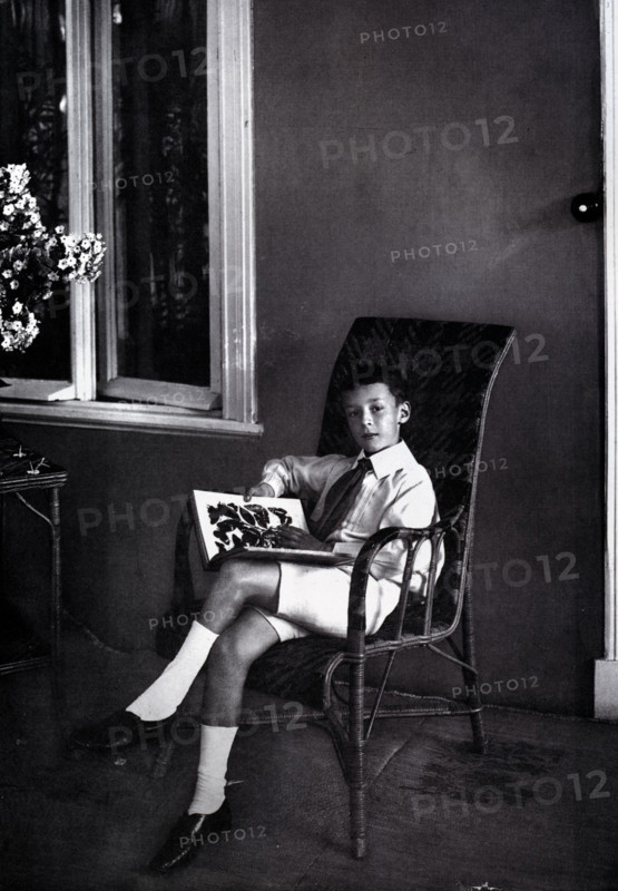Vladimir Nabokov