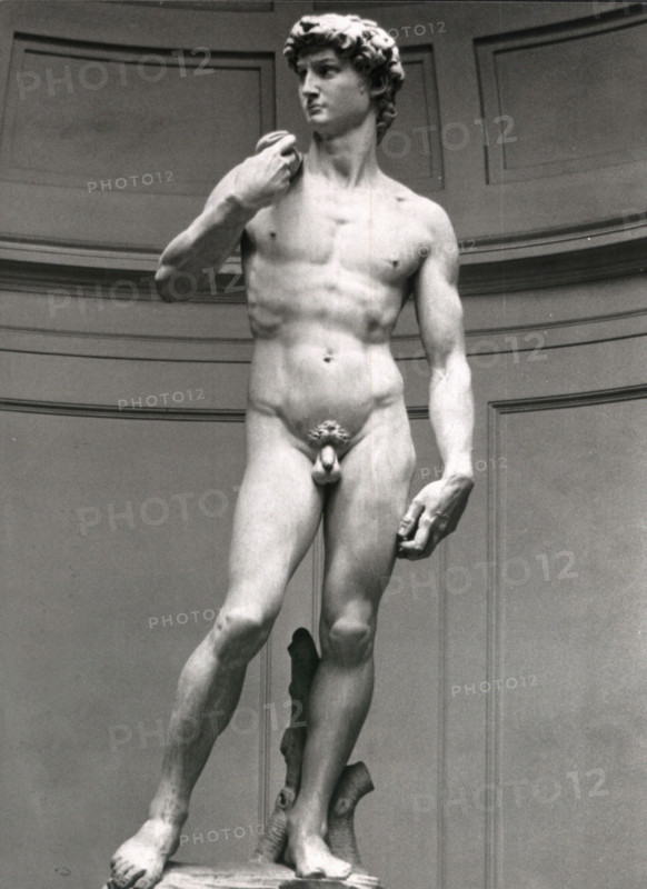 David, de Michel-Ange