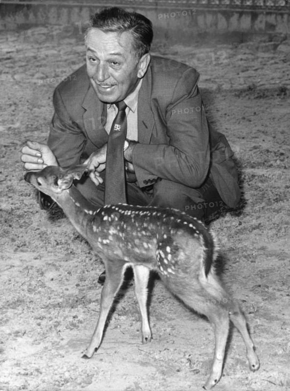 Walt Disney au zoo de Berlin en 1958