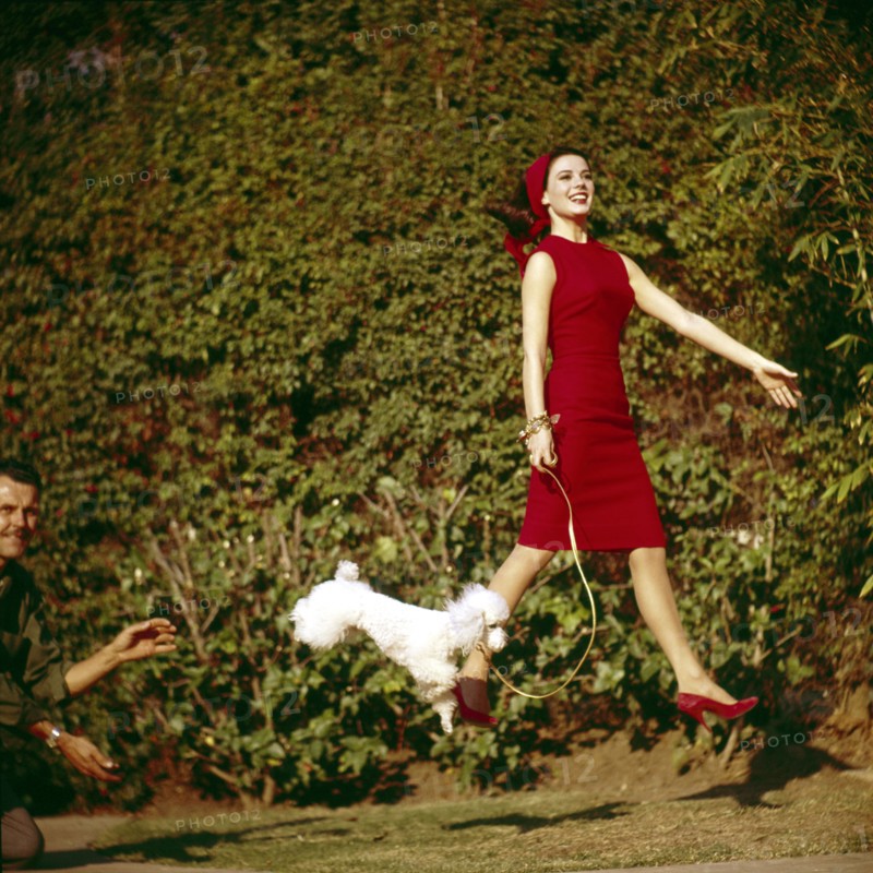 Natalie WOOD with poodle during filming