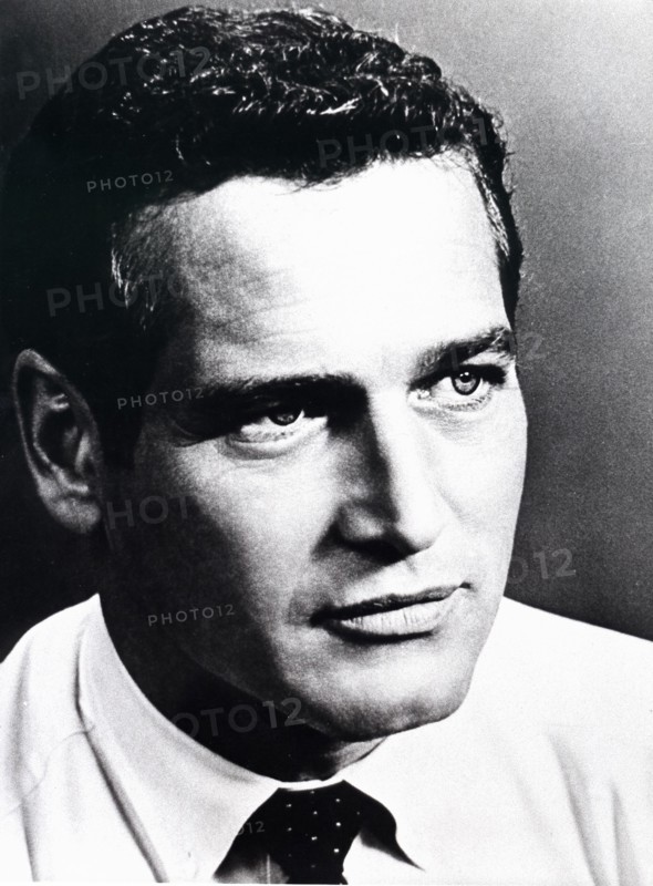 Paul NEWMAN, portrait