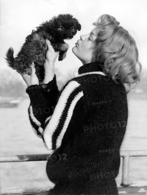 Romy SCHNEIDER with her puppy 'Flabs', 1959