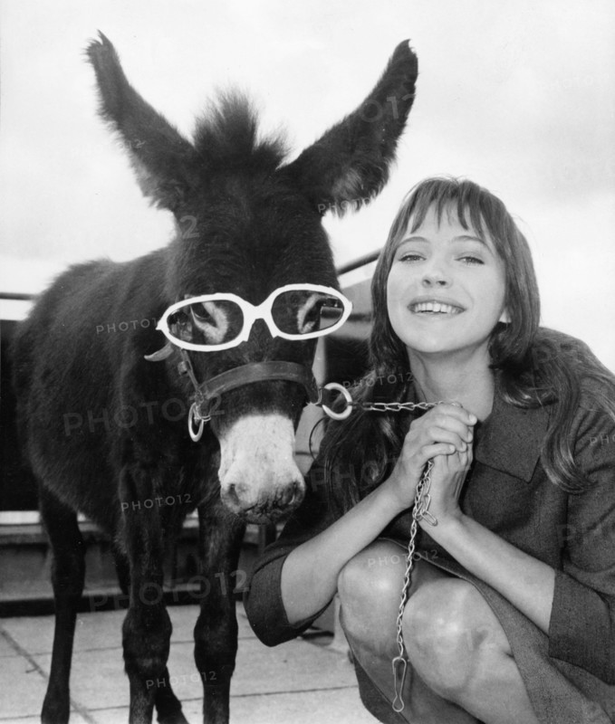 Anna KARINA with donkey, Corsica 1961