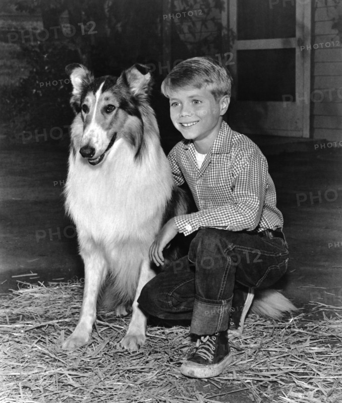 TV series "Lassie", 1961