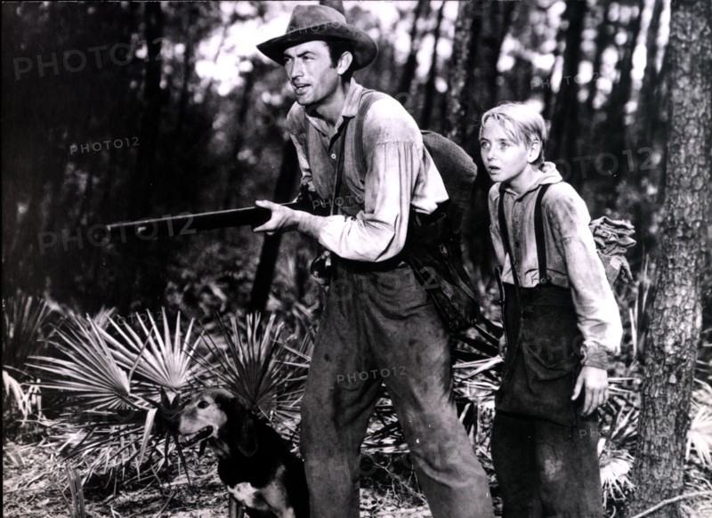 Gregory PECK and Claude JARMAN Jr. in 'The Wild Calls'