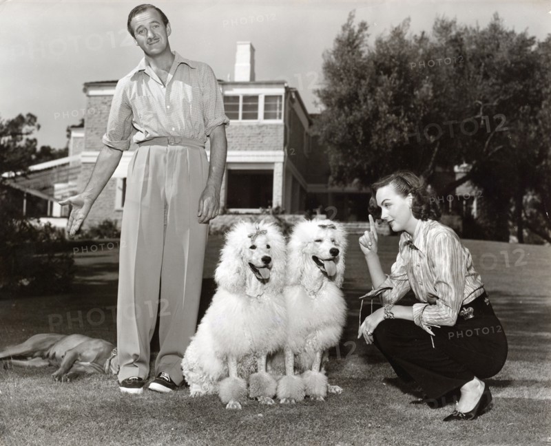 David NIVEN and wife Hjordis with dogs