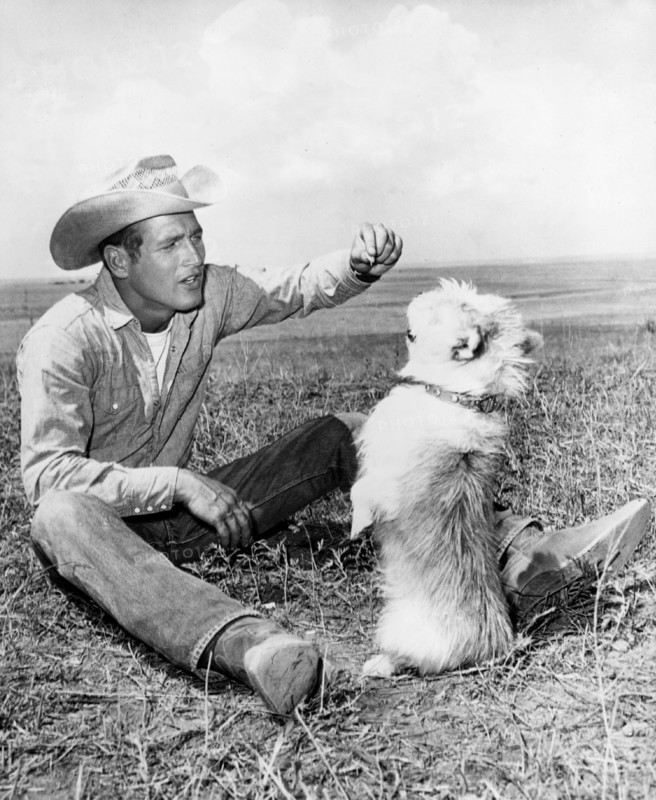 Paul NEWMAN filming 'Hud' in 1962