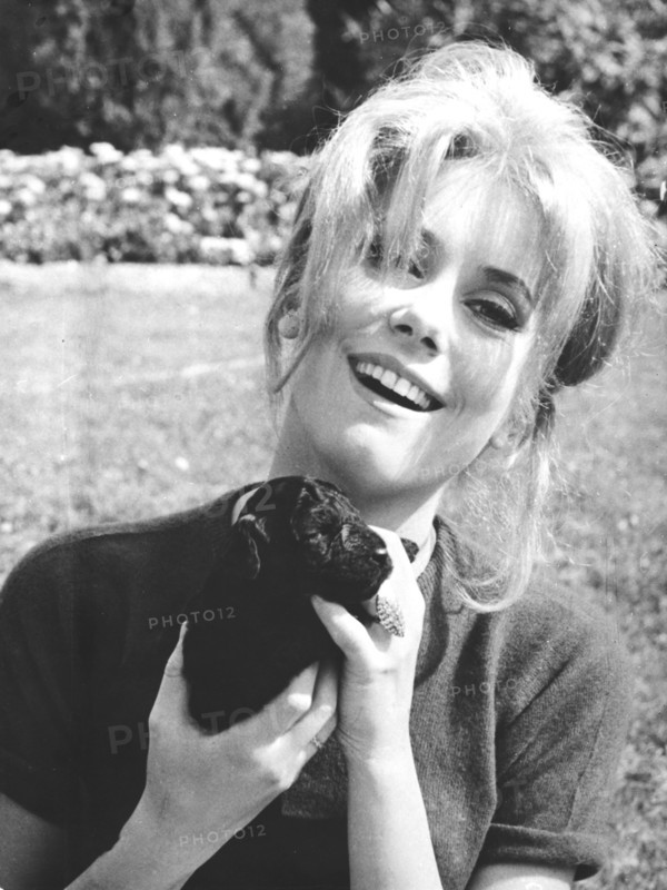 Catherine DENEUVE with puppies