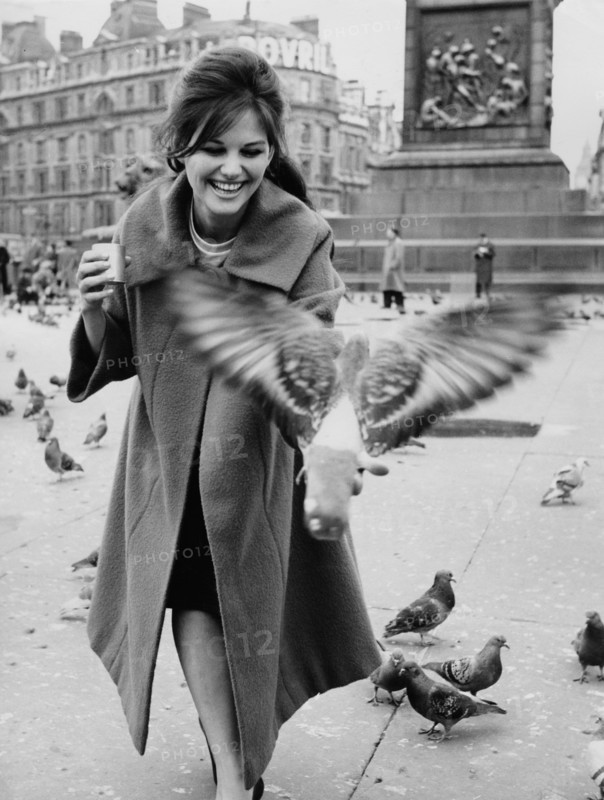 Claudia CARDINALE feeds pigeons in Trafalgar Square, London