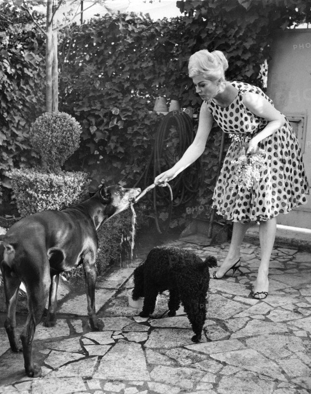 Anita EKBERG in her villa in 1961