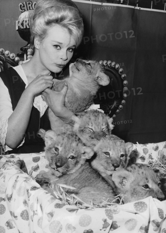 Elke SOMMER with lion cubs