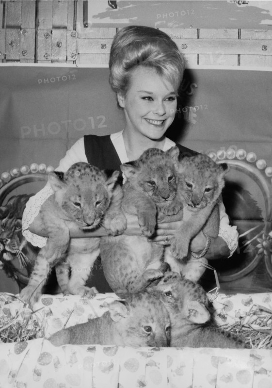 Elke SOMMER with lion cubs