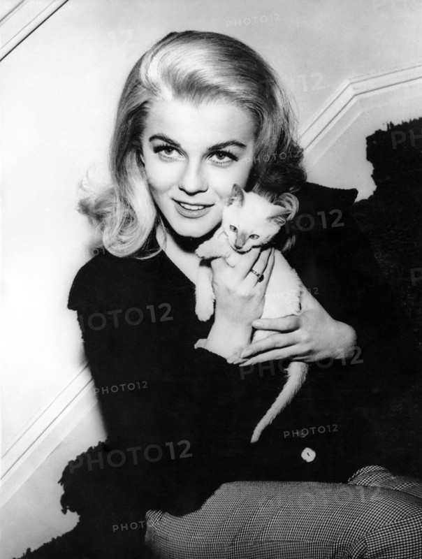 ANN MARGRET, 1964