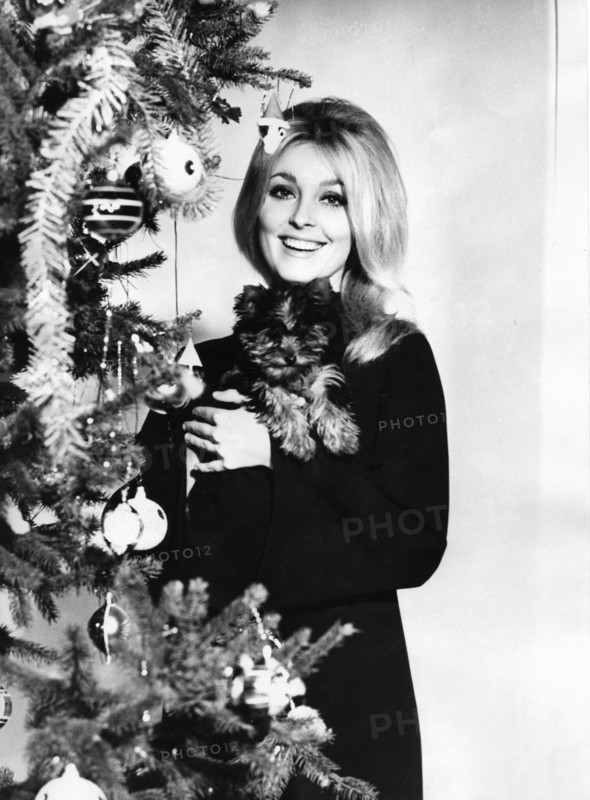 Sharon TATE with dog 1965