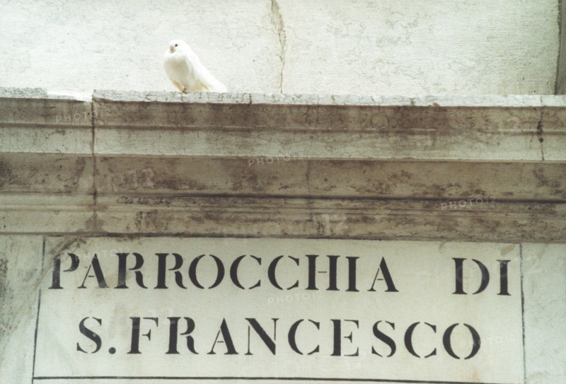 Detail of an inscription on a wall: St. Francis parish in Venice.