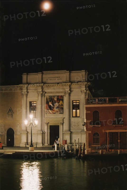 Academy of Fine Arts in Venice.