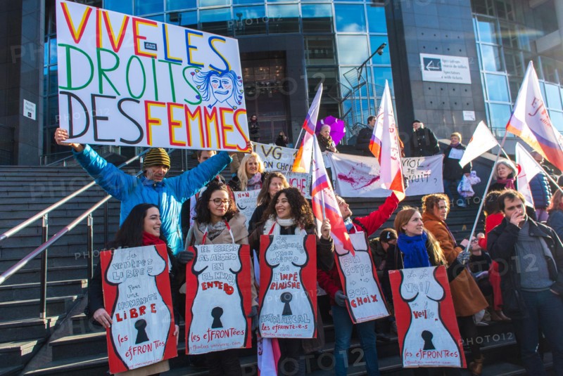 Paris, France, French N.G.O.'s Groups, Feminist Demonstration in Honor of 40th Anniversary of Abortion Law Legalization, Holding French protest poster, women rally