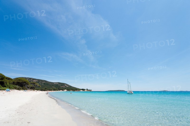 Palombaggia Beach near Porto Vecchio, Corse du Sud, Corsica, France