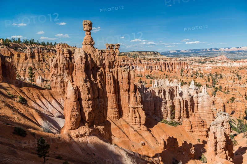 Hoodoos, Thor's Hammer, Amphitheater, Bryce Canyon National Park, Utah, USA