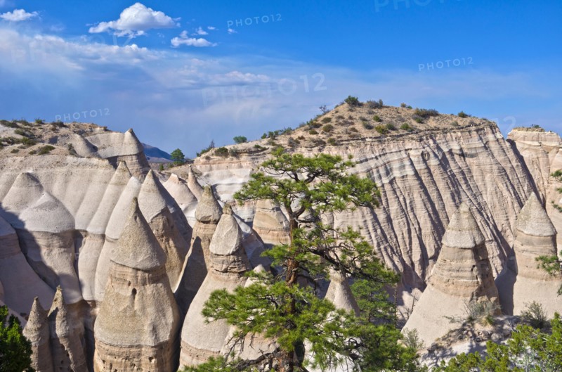 Kasha-Katuwe Tent Rocks National Monument in New Mexico.  A tree stands amid the hoodoos, beneath a blue sky.