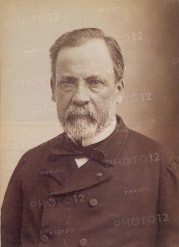 Louis Pasteur, French Bacteriologist