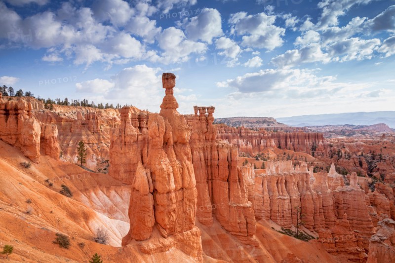 Thor's Hammer, the most famous of the thouisands of hoodoos in Bryce Canyon National Park, Utah.
