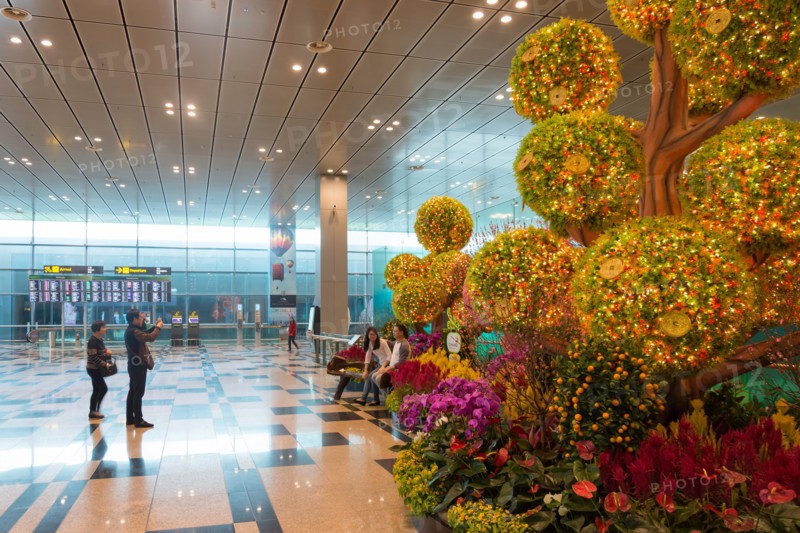 Photo Garden in Terminal 2, Singapore Changi Airport, Changi, Singapore Island, Singapore
