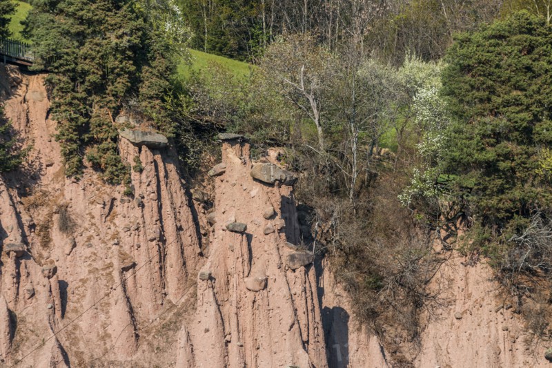 The earth pyramids of the Renon Plateau, Bolzano, Trentino Alto Adige, Italy
