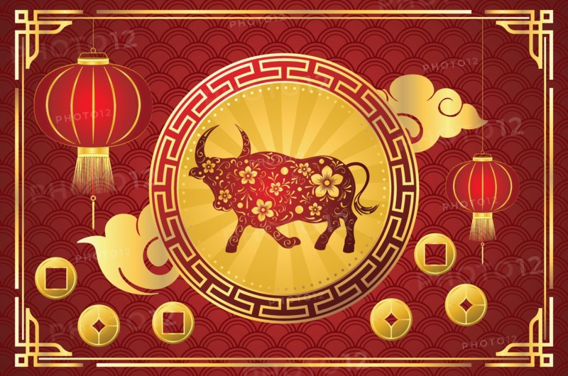 Chinese new year card with bull and flowers illustration.