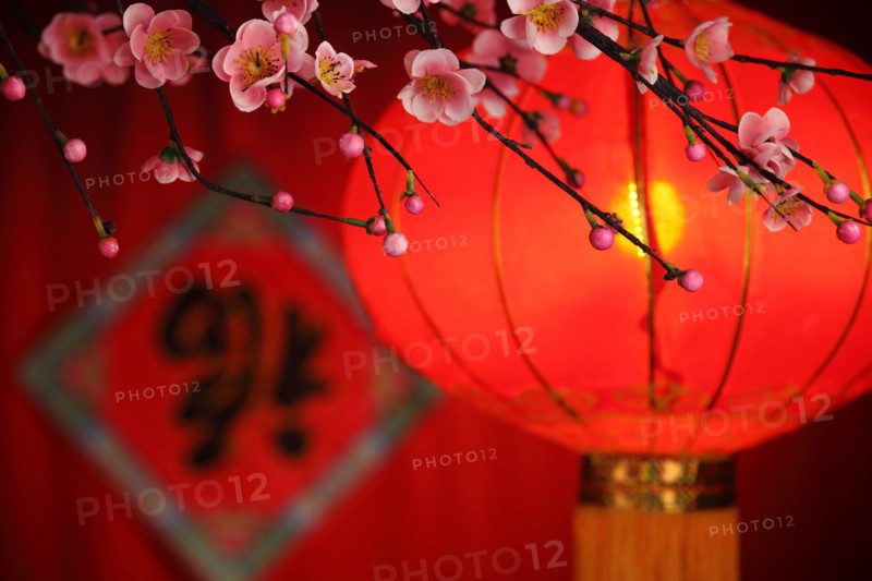 Chinese new year decoration--Traditional lantern and plum blossom on a festive background.
