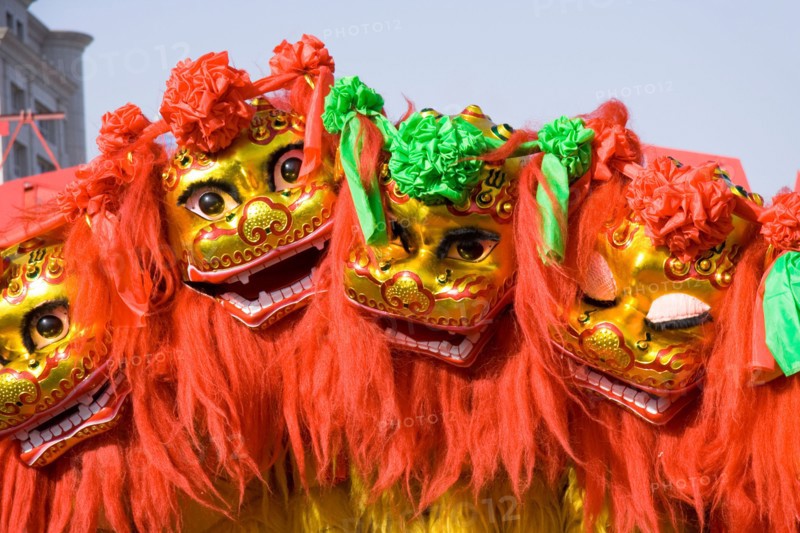 traditional chinese lion dancing for celebration chinese new year