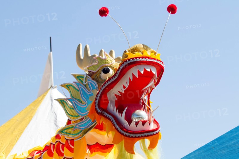 Chinese dragon for Chinese new year