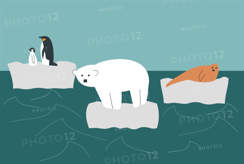Illustration of wild animals, polar bear, penguin and seal on a melting glacier in the middle of the ocean - Global Warming
