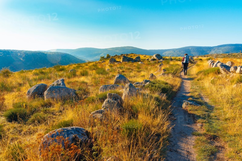 Walker on the Robert Louis Stevenson Trail above le-Pont-de-Montvert in the Cévennes, Lozère, France