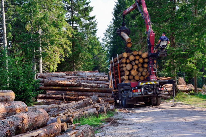 Asiago plateau, Mounr Zebio, Veneto, Italy. It was October 29th last year, when the Vaia storm hit millions of trees between Veneto, Friuli and Trentino. . After a year, work continues to remove felled logs from the ground. Cleaning up paths, clearing white roads, commercializing logs before they are attacked by mold and parasites is a huge job that hundreds of woodcutters from neighboring Slovenia are participating in. It must be done soon before another winter irrevocably compromises the quality of the timber. And then there remains the safety of a territory hit by such devastation that it c