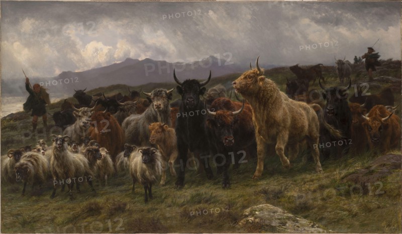 Rosa Bonheur - Highland Raid (1860)