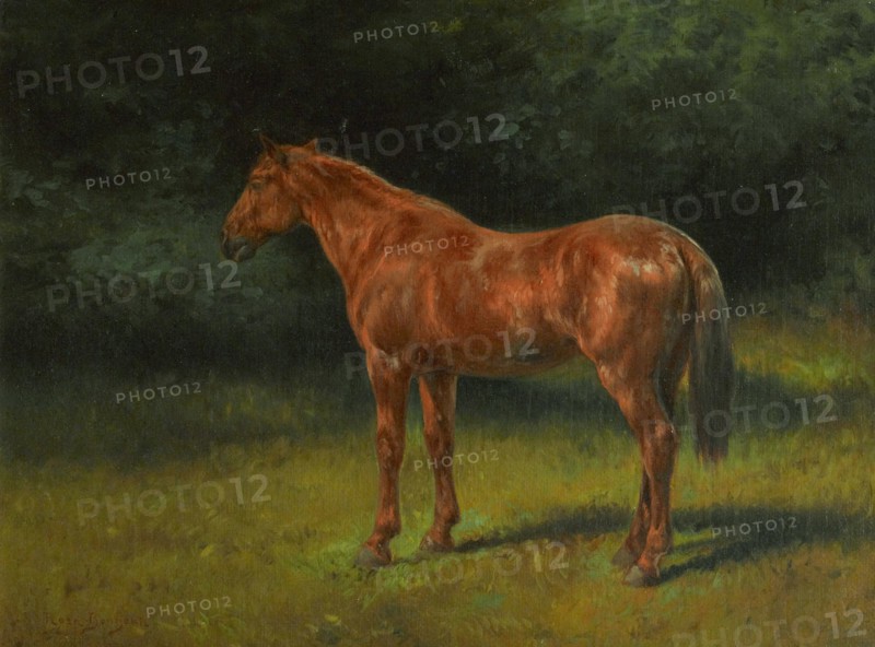Rosa Bonheur - L'oseille rouge