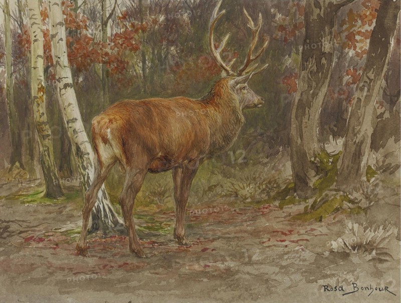 Rosa Bonheur - Stag on the Watch