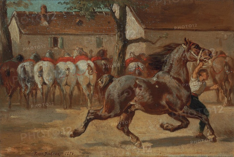 Rosa Bonheur - Trot un cheval