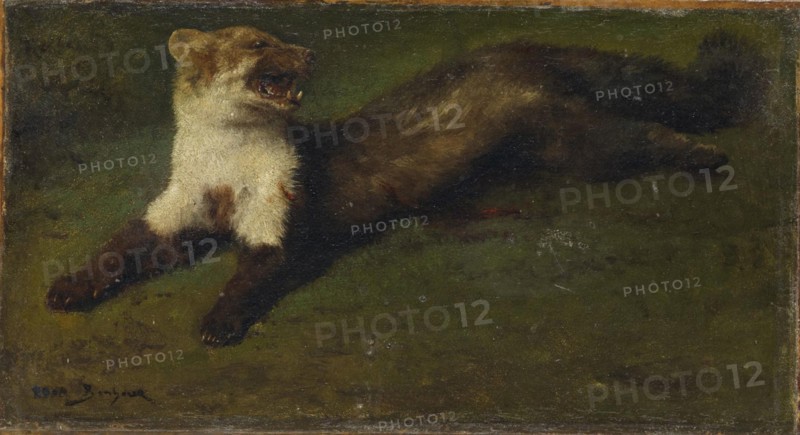 Rosa Bonheur Hermine