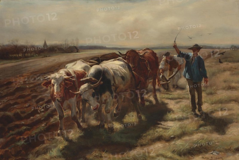 Rosa Bonheur - charrue à bC593ufs (1875)