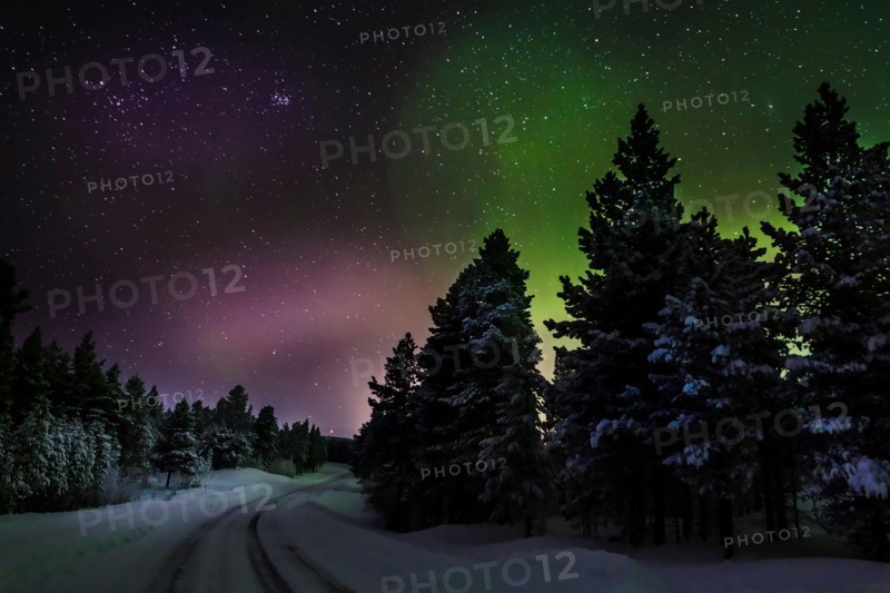 Aurora Borealis or Northern Lights, Lapland, Sweden