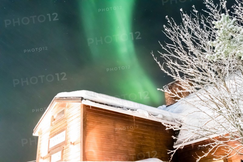 northern lights, aurora borealis over trees