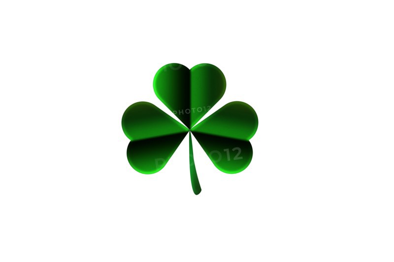 Shamrock isolated on white. St Patricks day symbol of Ireland.